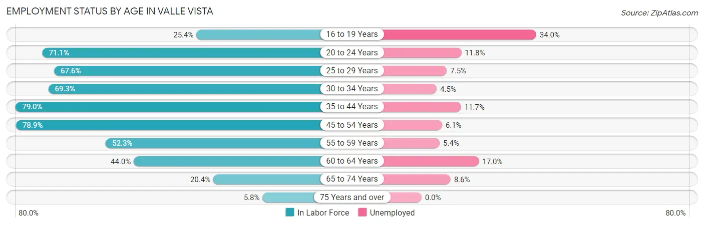 Employment Status by Age in Valle Vista