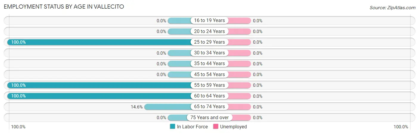 Employment Status by Age in Vallecito