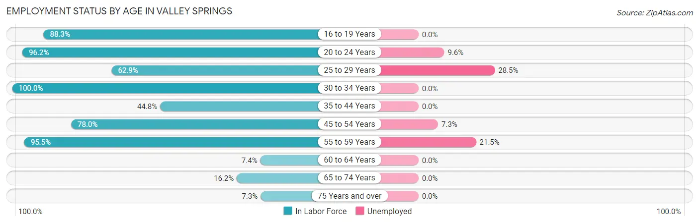 Employment Status by Age in Valley Springs