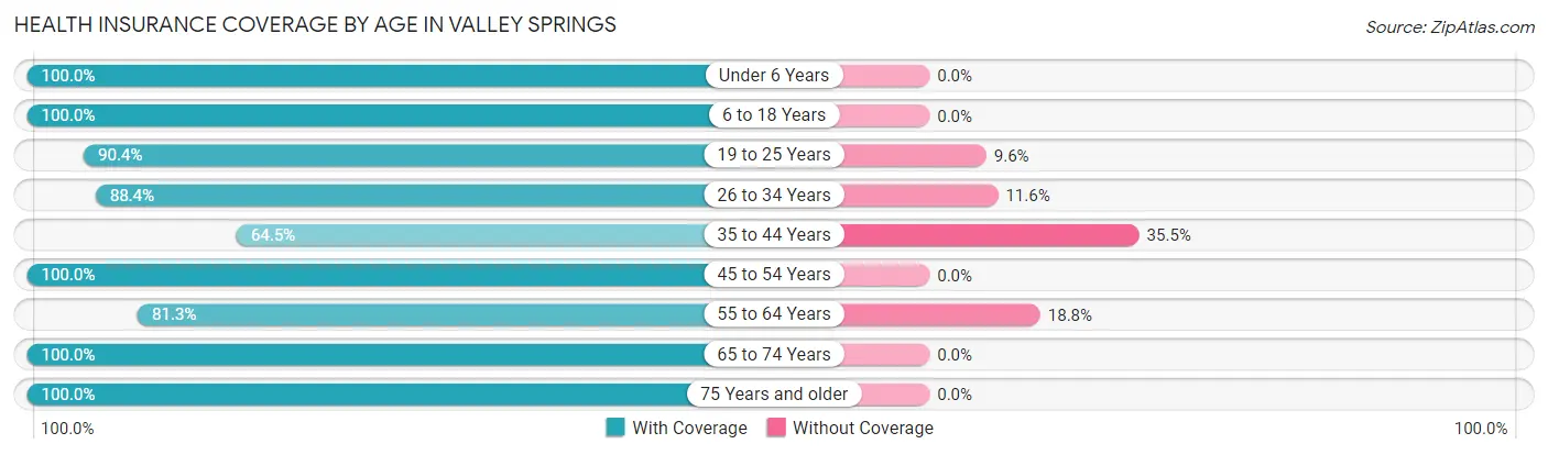 Health Insurance Coverage by Age in Valley Springs