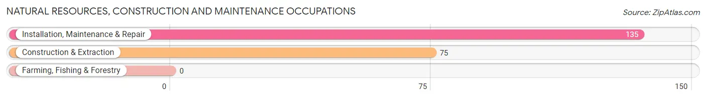 Natural Resources, Construction and Maintenance Occupations in Valley Springs