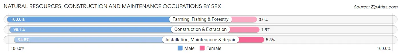Natural Resources, Construction and Maintenance Occupations by Sex in Victorville