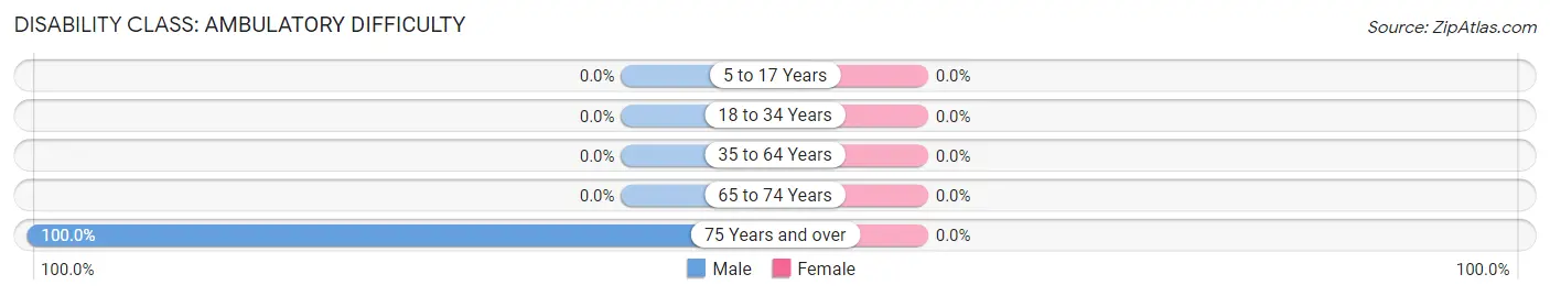 Disability in Vina: <span>Ambulatory Difficulty</span>