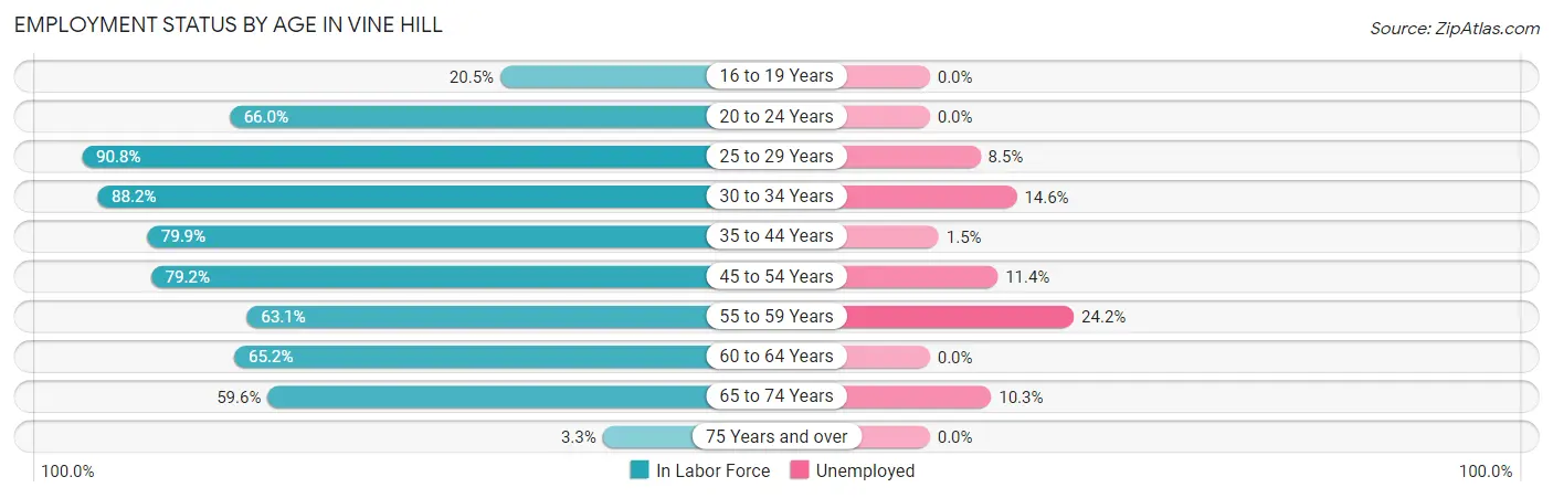 Employment Status by Age in Vine Hill