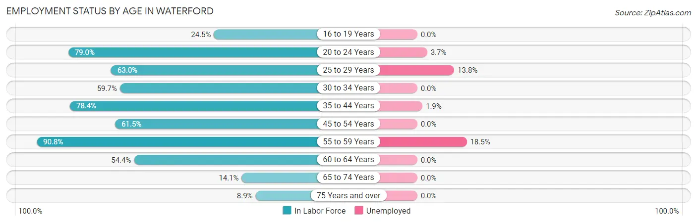 Employment Status by Age in Waterford