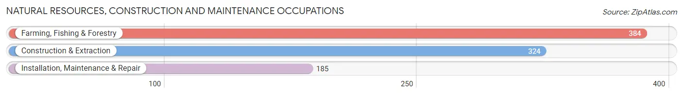 Natural Resources, Construction and Maintenance Occupations in Waterford