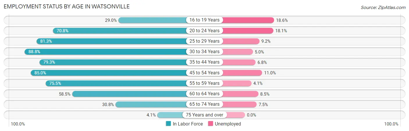 Employment Status by Age in Watsonville