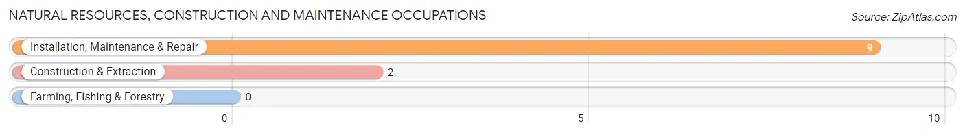 Natural Resources, Construction and Maintenance Occupations in Waukena