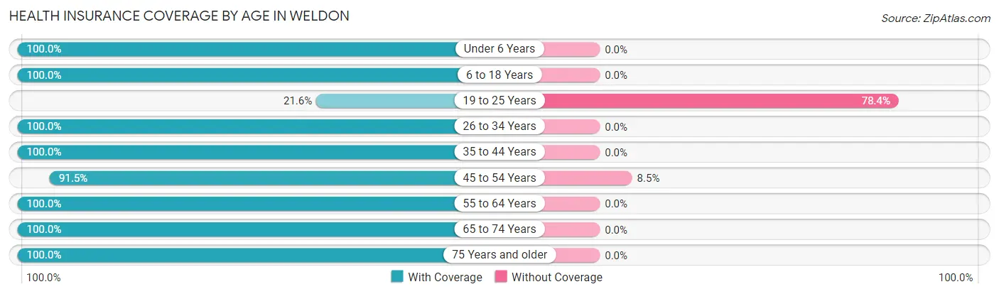 Health Insurance Coverage by Age in Weldon