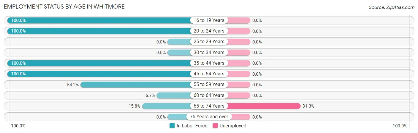 Employment Status by Age in Whitmore