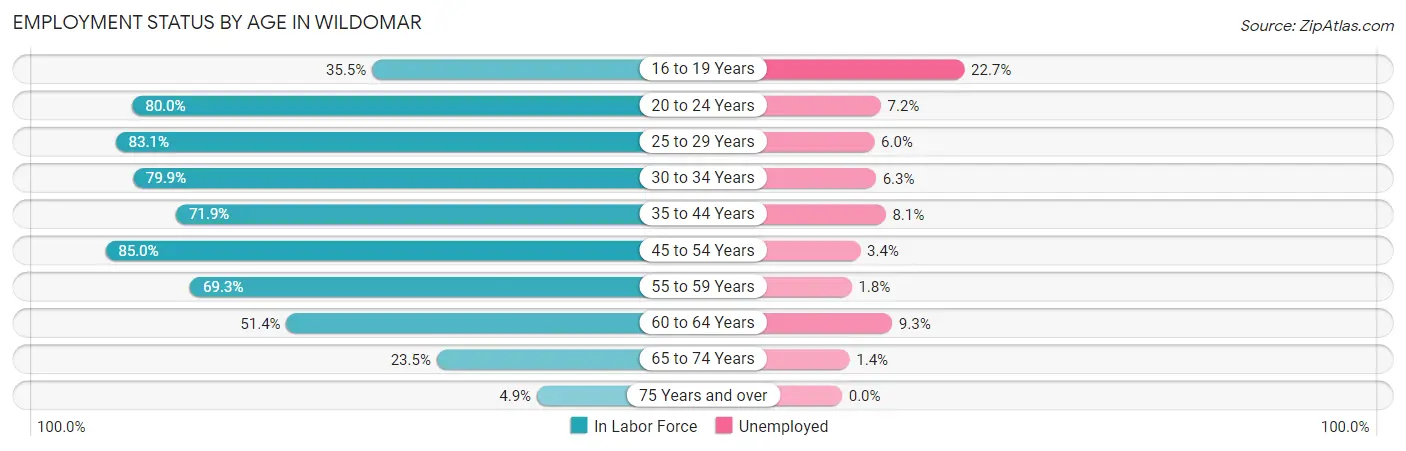 Employment Status by Age in Wildomar