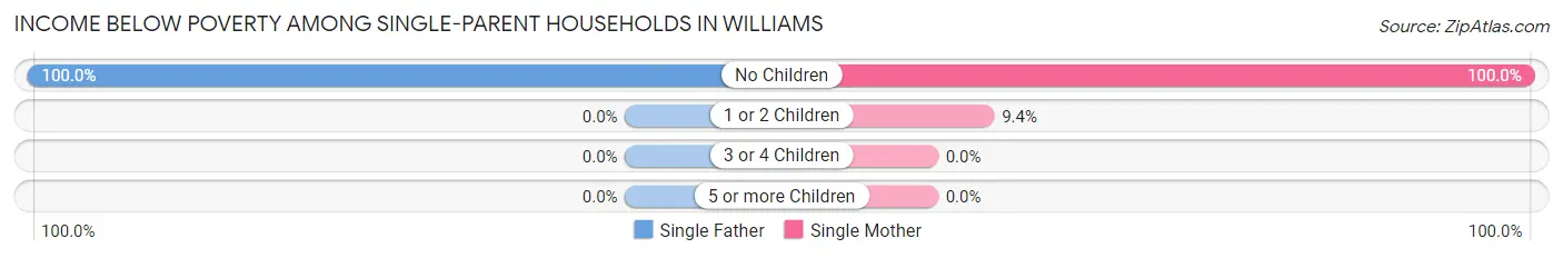 Income Below Poverty Among Single-Parent Households in Williams