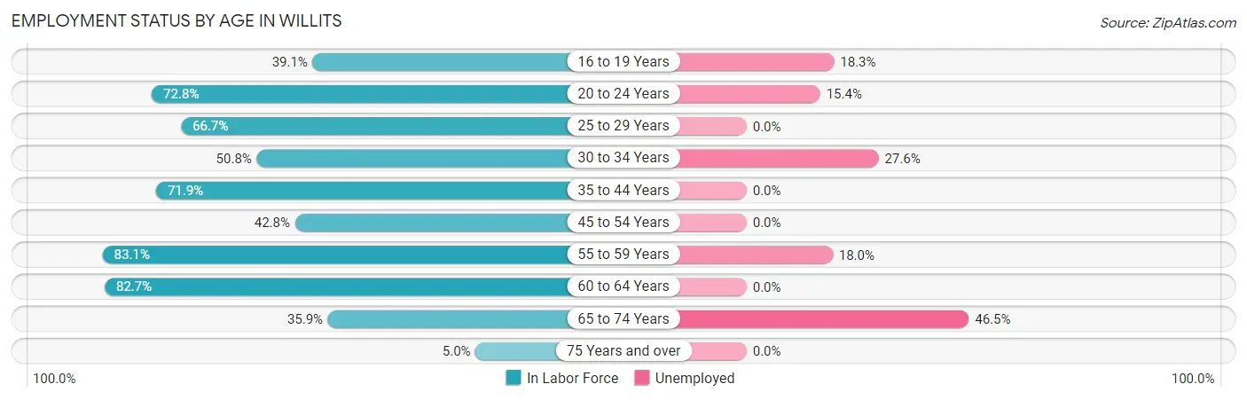 Employment Status by Age in Willits