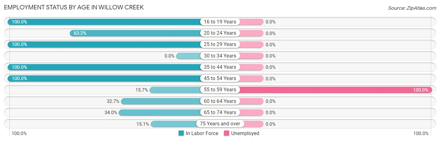 Employment Status by Age in Willow Creek