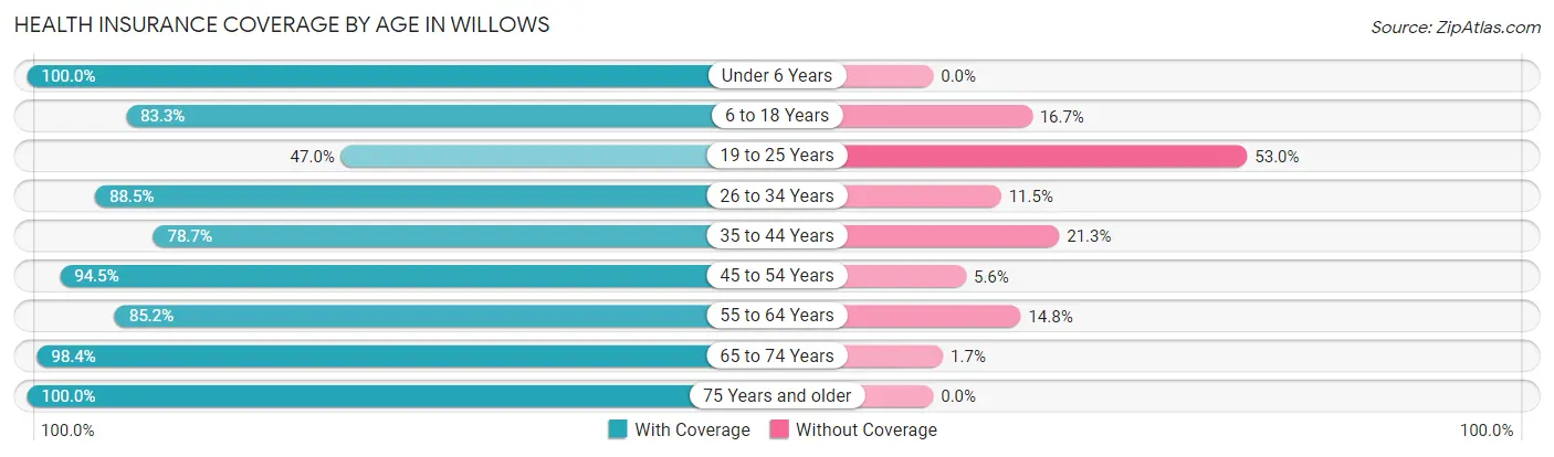 Health Insurance Coverage by Age in Willows