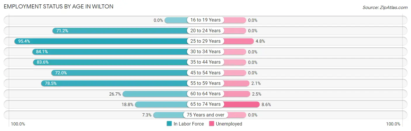 Employment Status by Age in Wilton