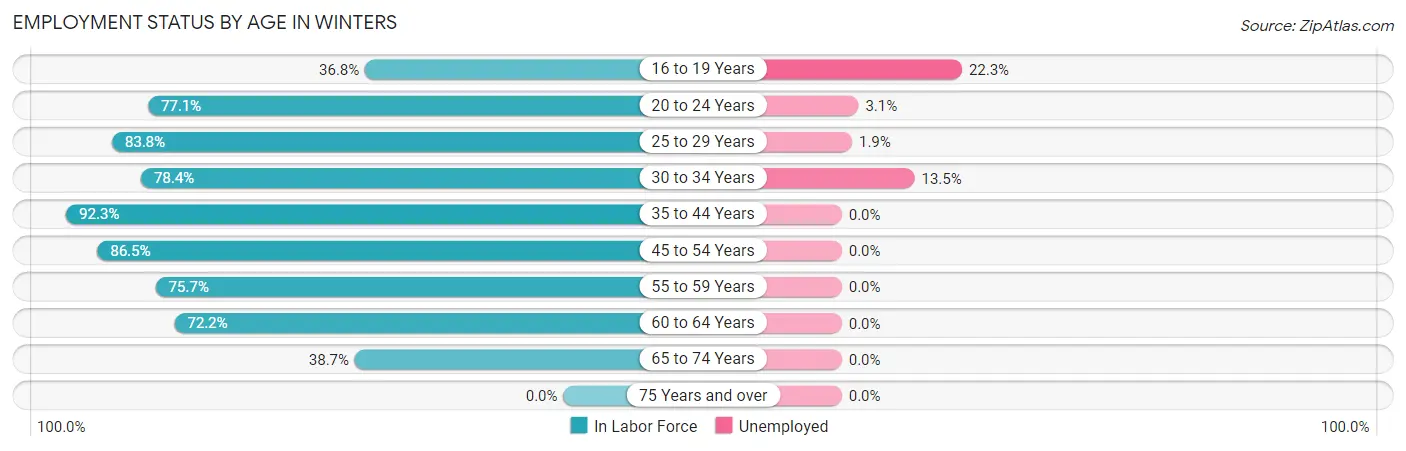 Employment Status by Age in Winters