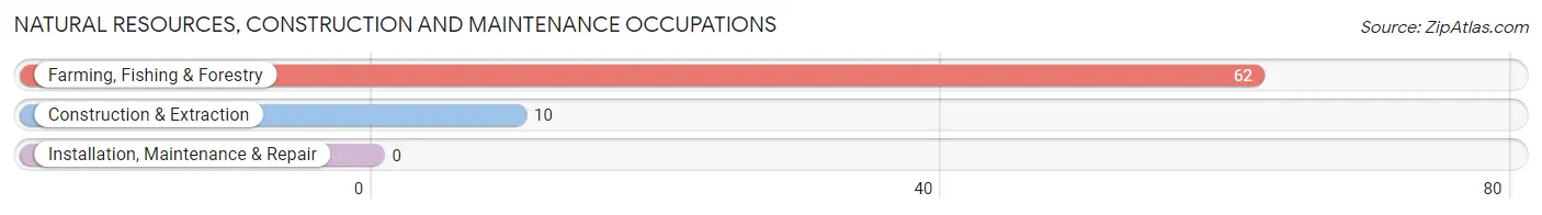 Natural Resources, Construction and Maintenance Occupations in Wofford Heights