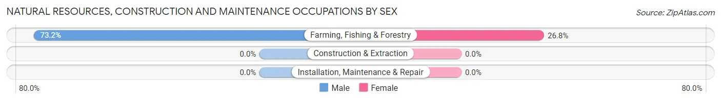 Natural Resources, Construction and Maintenance Occupations by Sex in Woodville Farm Labor Camp