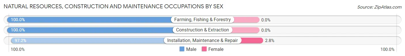 Natural Resources, Construction and Maintenance Occupations by Sex in Yreka
