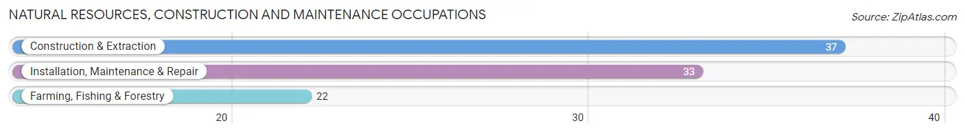 Natural Resources, Construction and Maintenance Occupations in Alamosa East