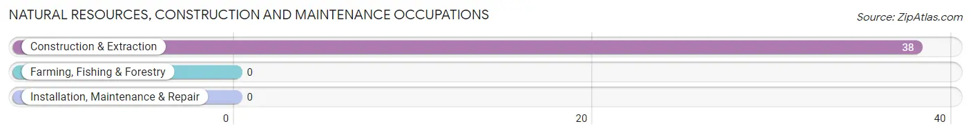 Natural Resources, Construction and Maintenance Occupations in Allenspark