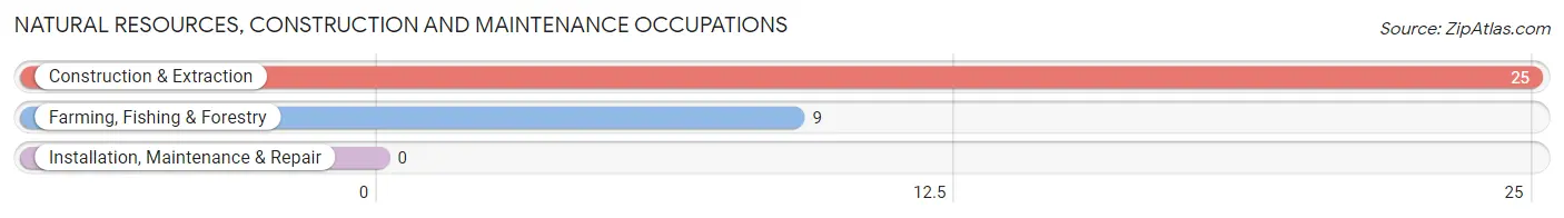 Natural Resources, Construction and Maintenance Occupations in Antonito