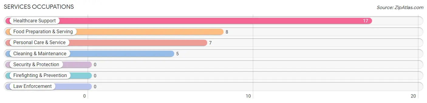 Services Occupations in Antonito