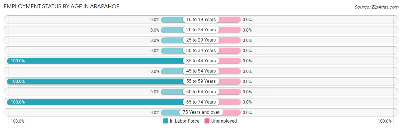Employment Status by Age in Arapahoe