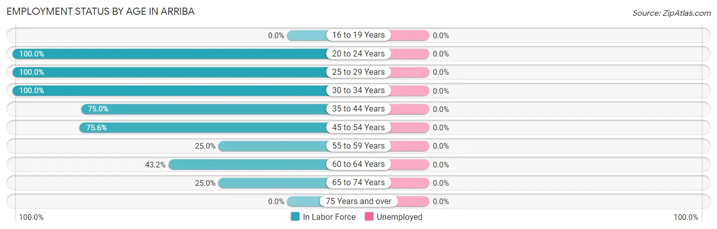 Employment Status by Age in Arriba