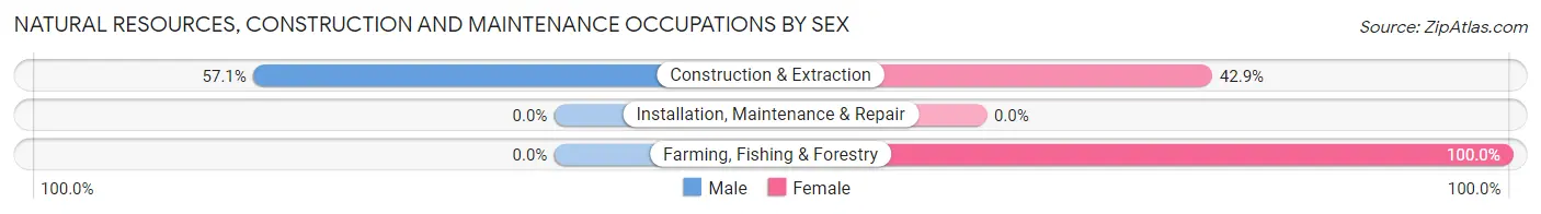 Natural Resources, Construction and Maintenance Occupations by Sex in Arriba