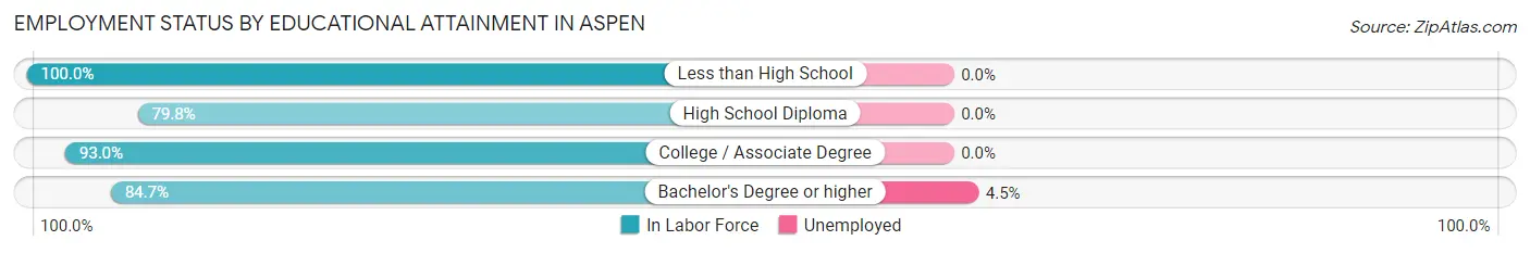 Employment Status by Educational Attainment in Aspen