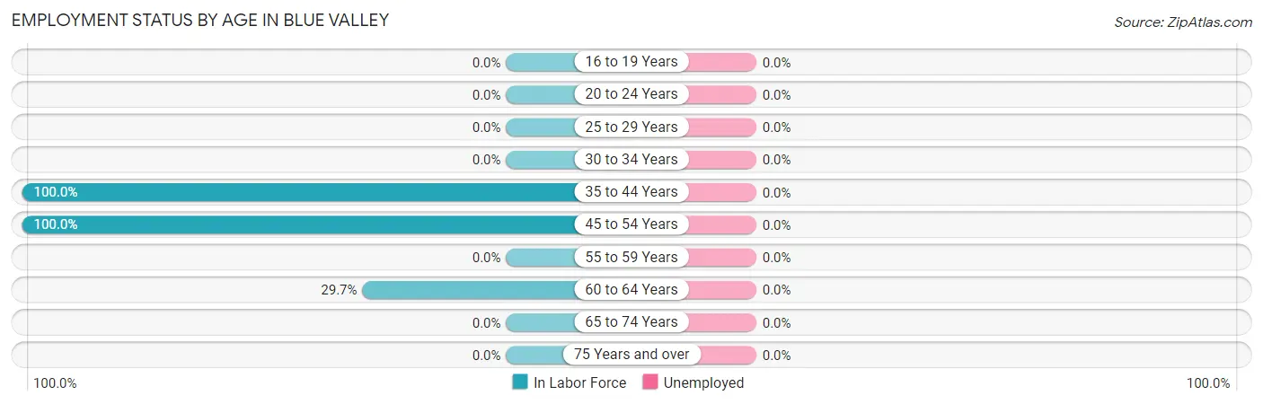 Employment Status by Age in Blue Valley