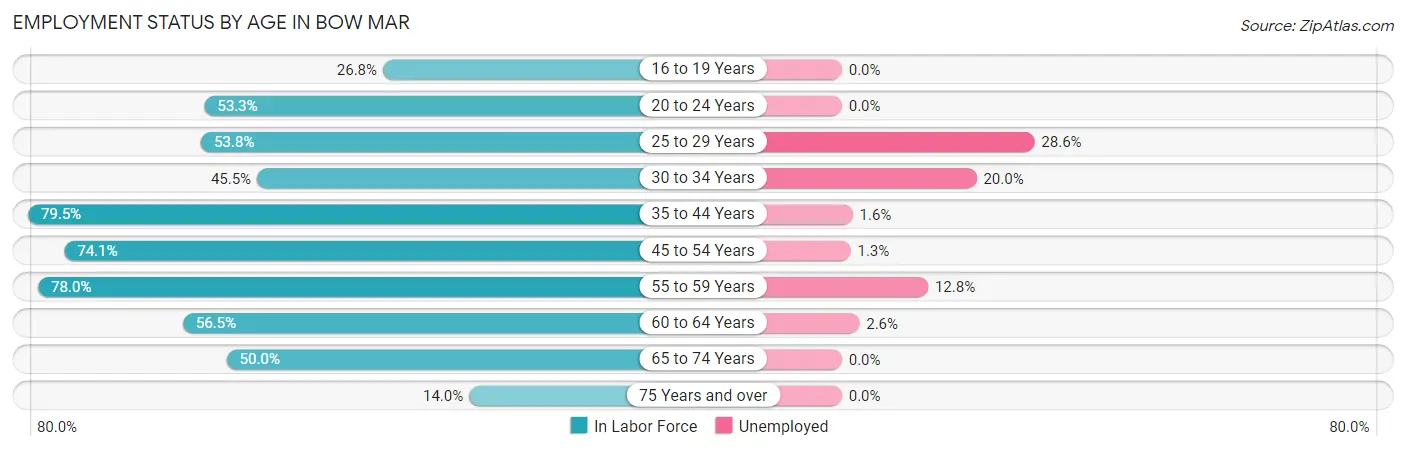 Employment Status by Age in Bow Mar