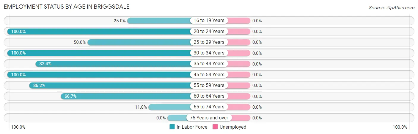 Employment Status by Age in Briggsdale