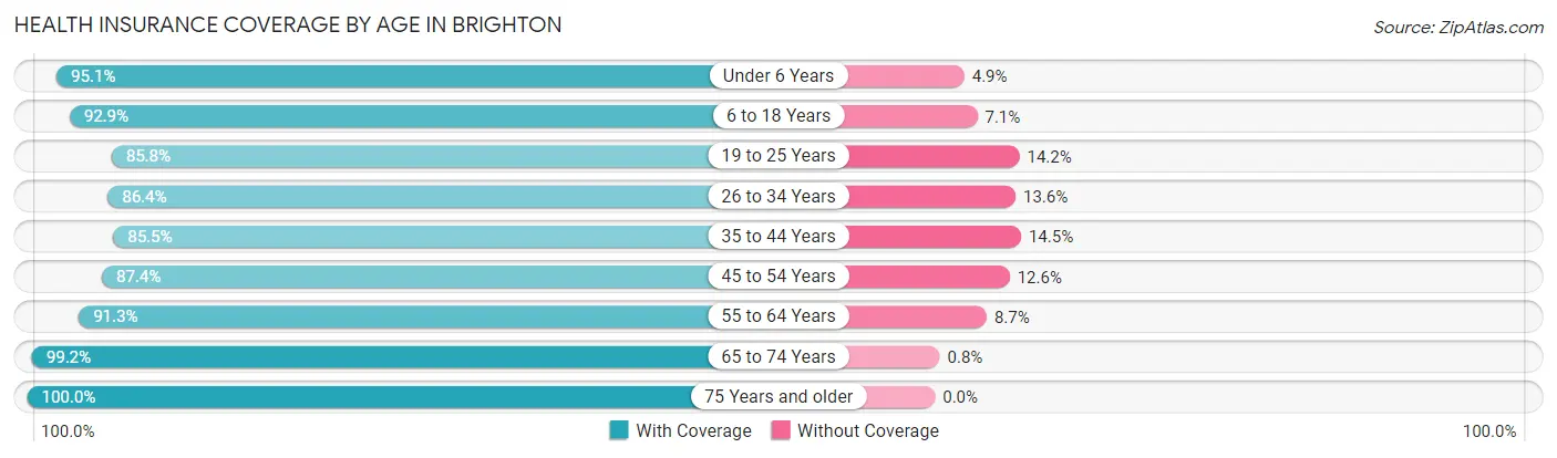 Health Insurance Coverage by Age in Brighton