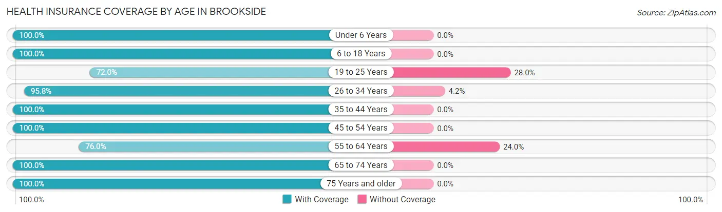 Health Insurance Coverage by Age in Brookside