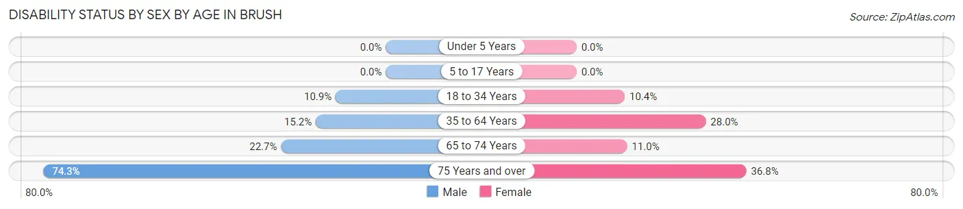 Disability Status by Sex by Age in Brush