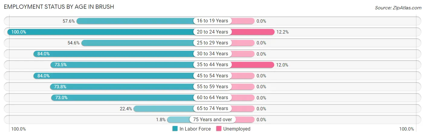 Employment Status by Age in Brush