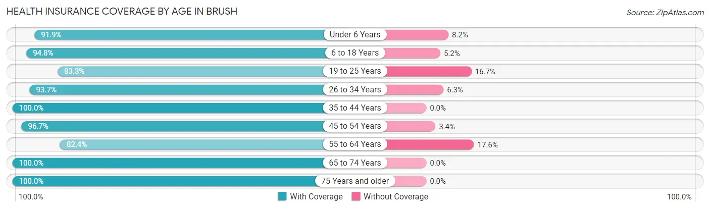 Health Insurance Coverage by Age in Brush