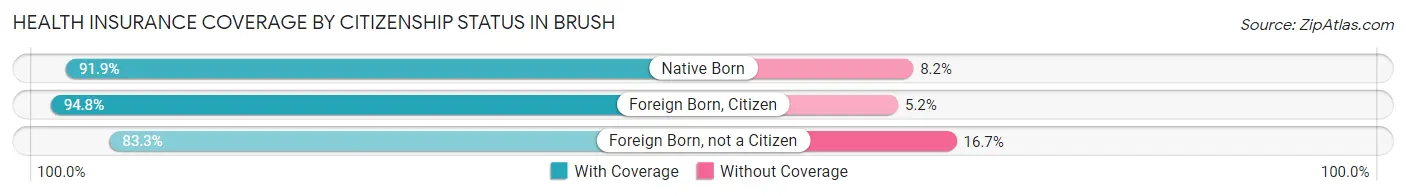 Health Insurance Coverage by Citizenship Status in Brush