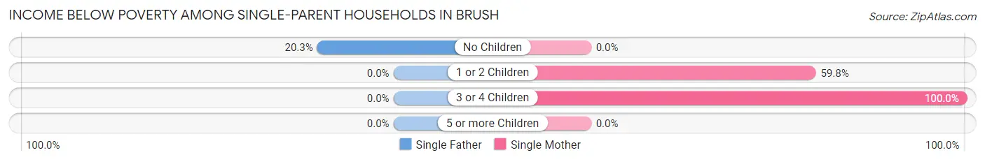 Income Below Poverty Among Single-Parent Households in Brush
