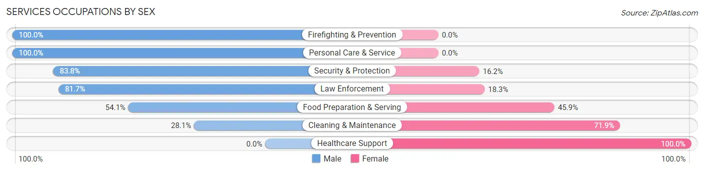 Services Occupations by Sex in Brush