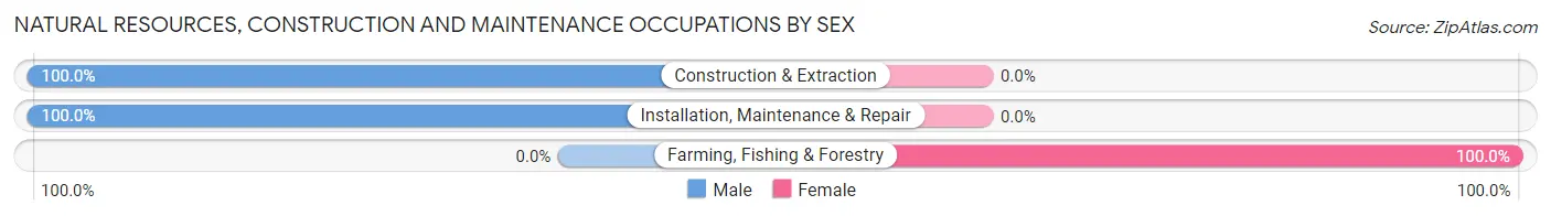 Natural Resources, Construction and Maintenance Occupations by Sex in Calhan