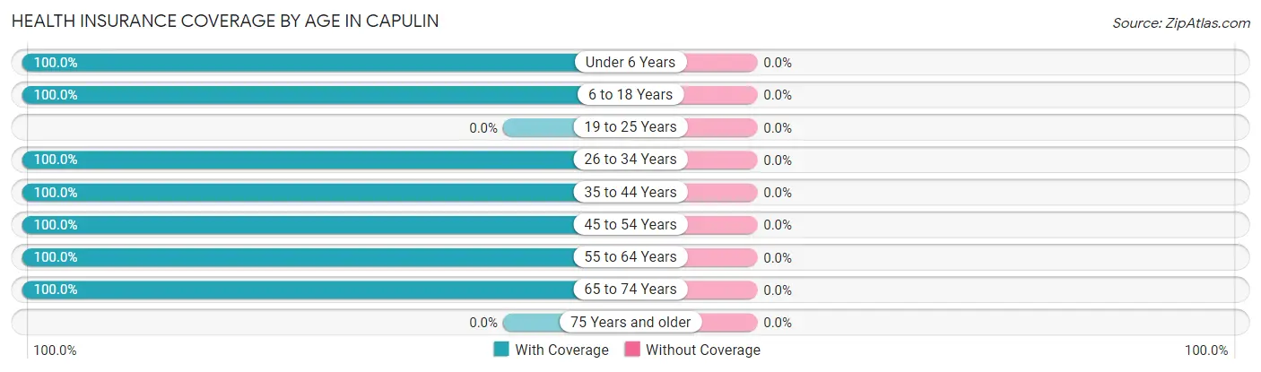 Health Insurance Coverage by Age in Capulin