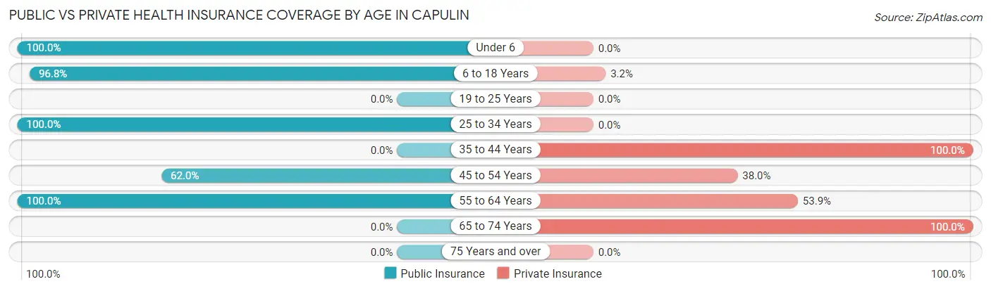 Public vs Private Health Insurance Coverage by Age in Capulin