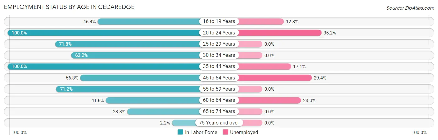 Employment Status by Age in Cedaredge