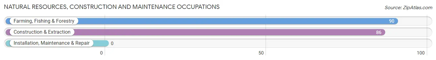 Natural Resources, Construction and Maintenance Occupations in Center