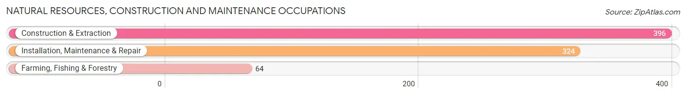 Natural Resources, Construction and Maintenance Occupations in Cimarron Hills