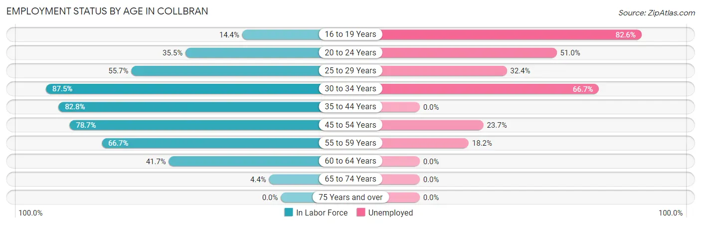 Employment Status by Age in Collbran
